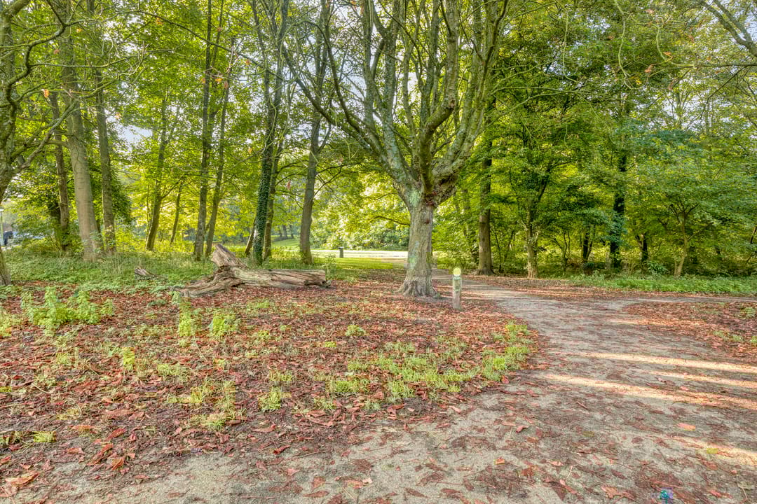 Foto 26 van Orteliusstraat 65-1