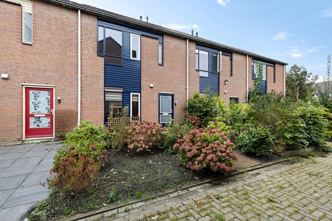 Foto 2 van Dovenetel 5