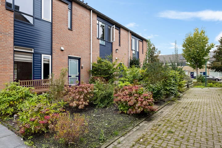 Foto 3 van Dovenetel 5