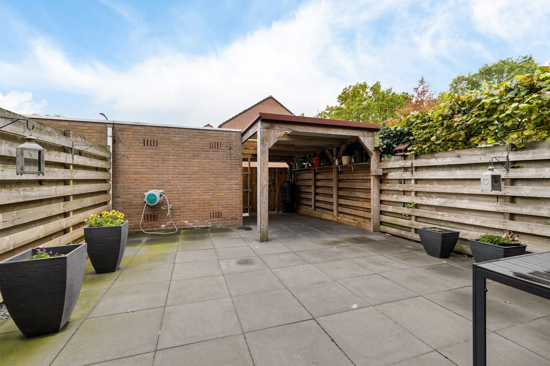 Foto 28 van Dovenetel 5