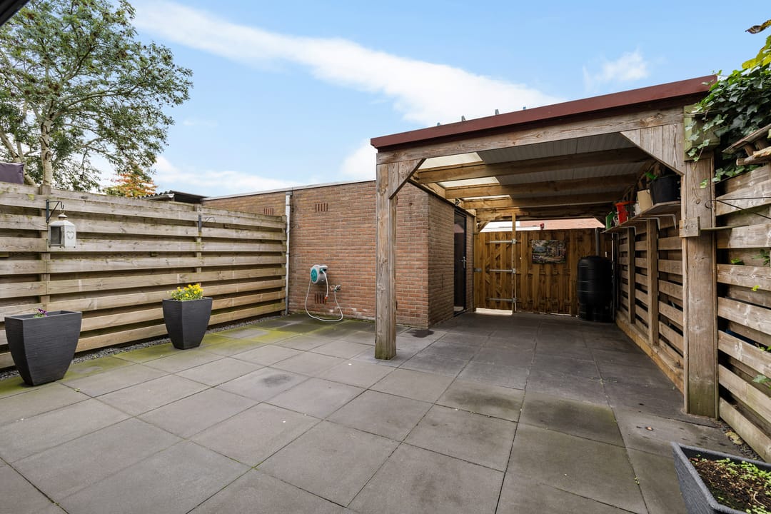 Foto 31 van Dovenetel 5