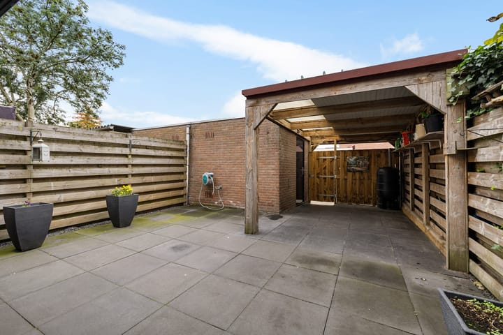 Foto 31 van Dovenetel 5