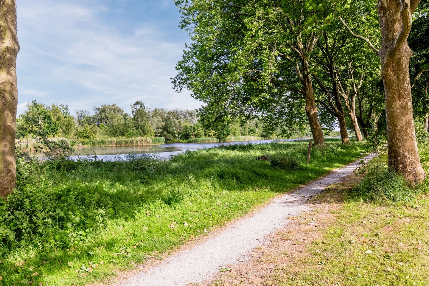 Foto 44 van Galeistraat 29