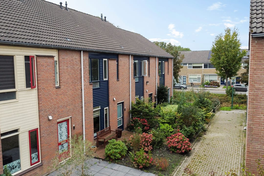 Foto 38 van Dovenetel 5