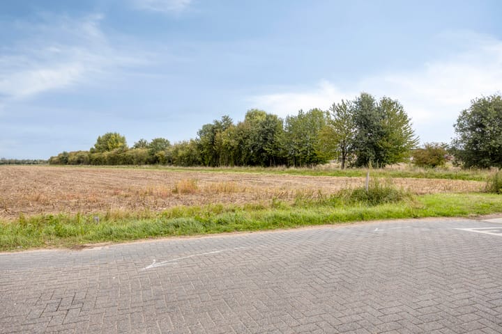 Foto 36 van Medaille 19