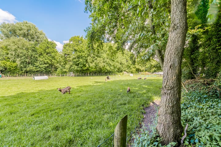 Photo 68 of Bleumerweg 6