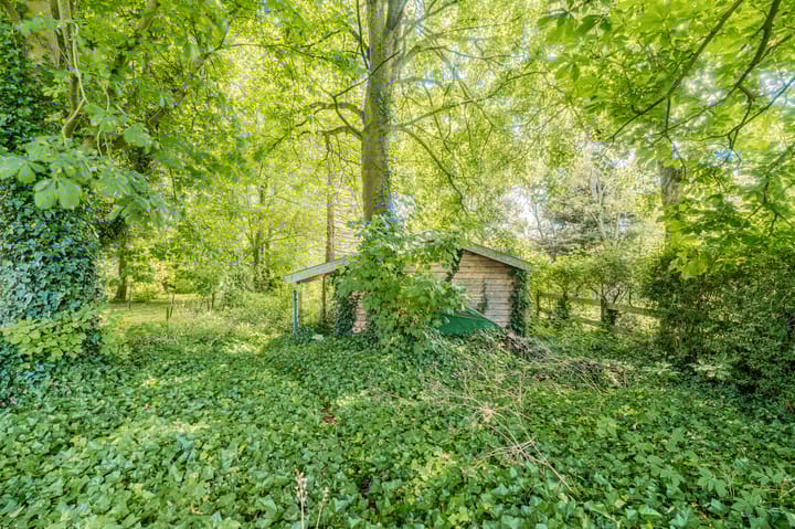 Photo 69 of Bleumerweg 6