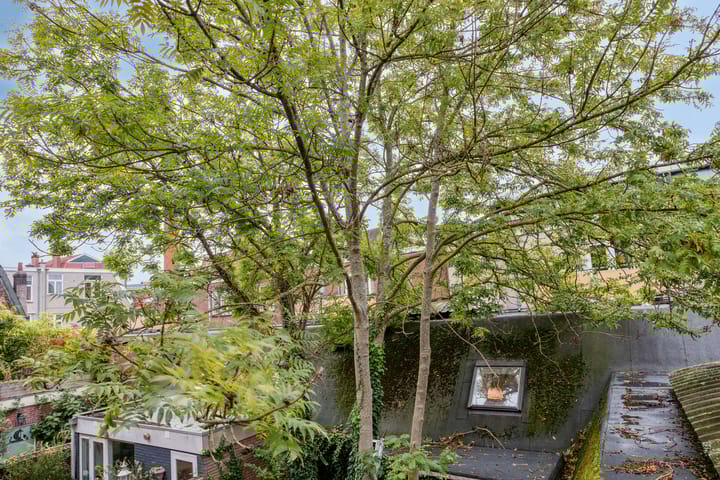 Foto 18 van Zijlvest 17