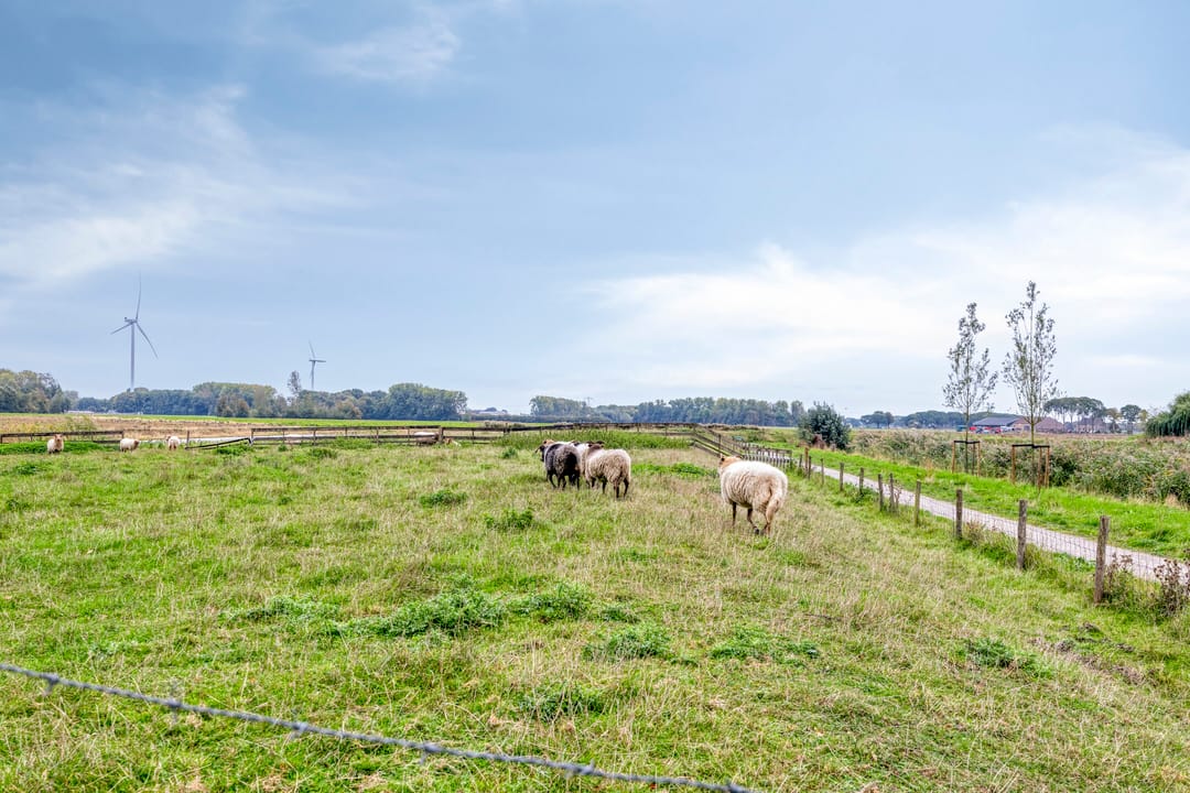 Foto 41 van Molenberglaan 18