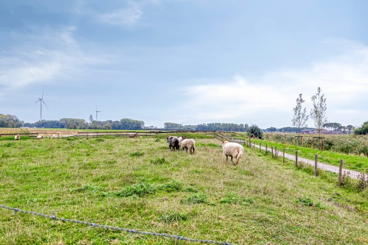 Foto 41 van Molenberglaan 18