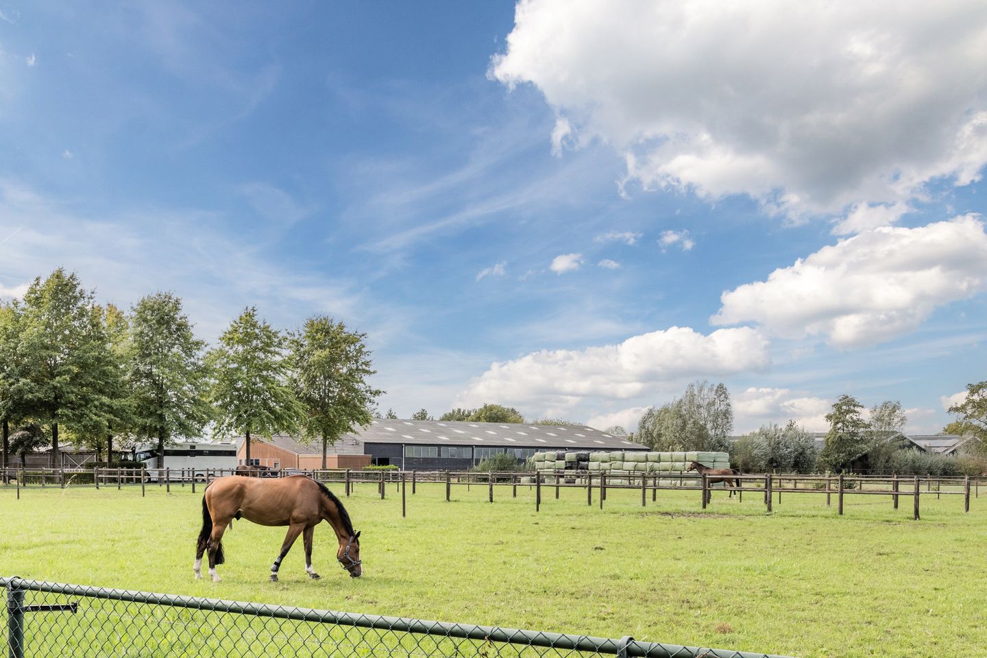 Foto 59 van Horst 59