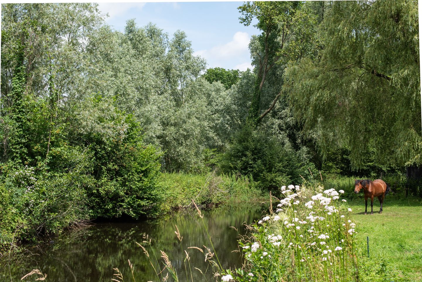 Photo 34 of Wooldseweg 66