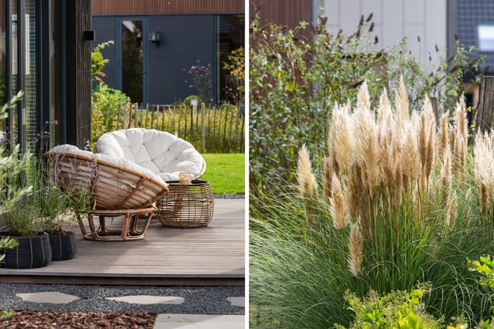 Photo 58 of Kreek 16