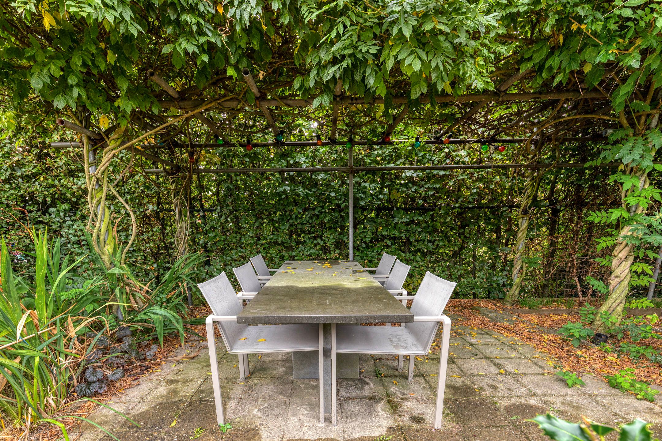 Foto 36 van Grashegge 2