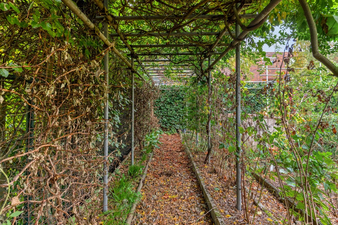 Foto 37 van Grashegge 2