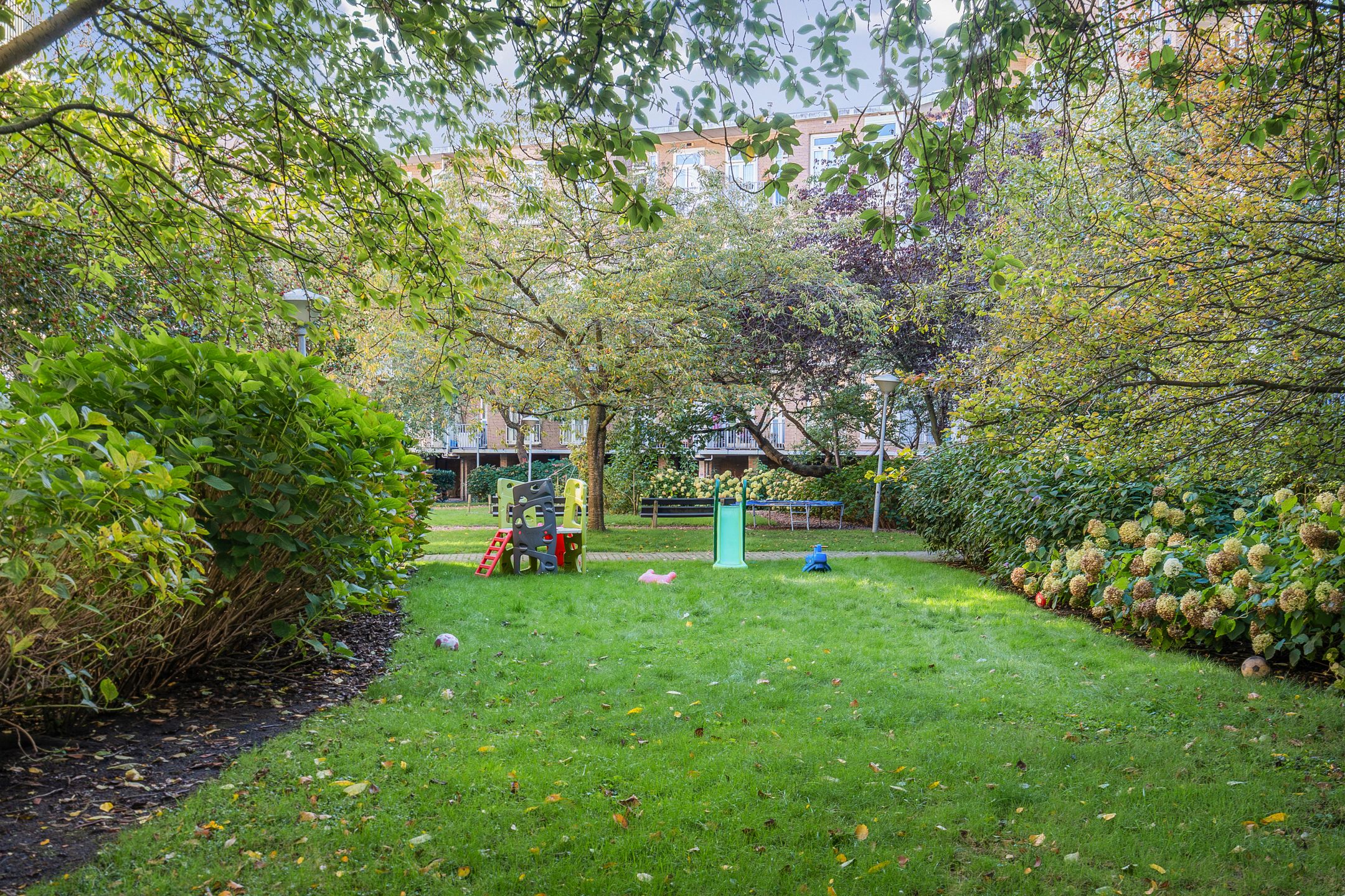 Foto 33 van Geuzenstraat 31-1