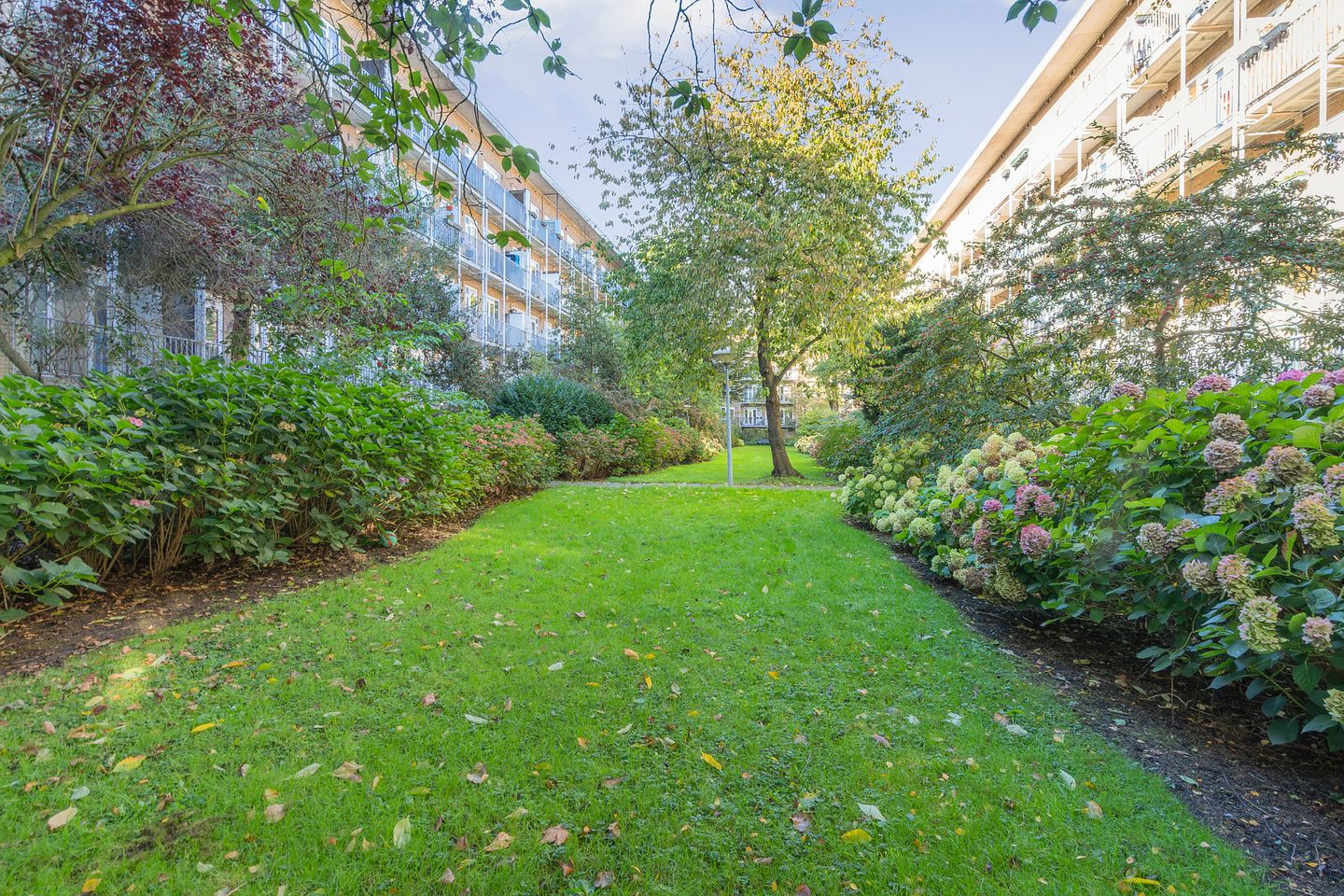 Foto 34 van Geuzenstraat 31-1