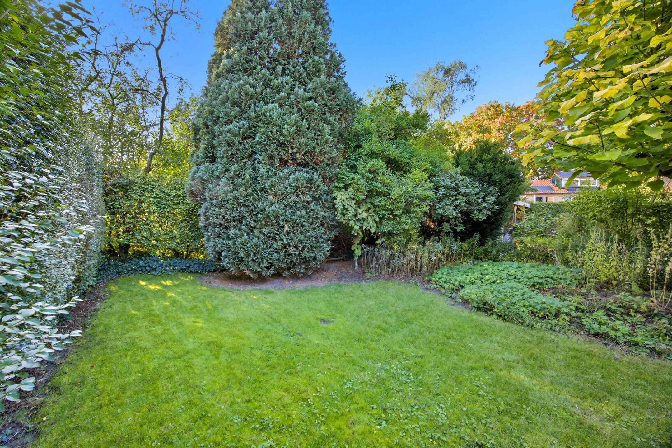 Foto 48 van Torenlaan 12