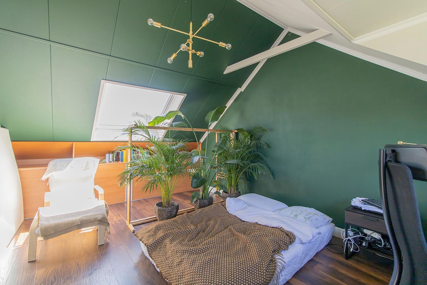 Foto 19 van Colorado 19