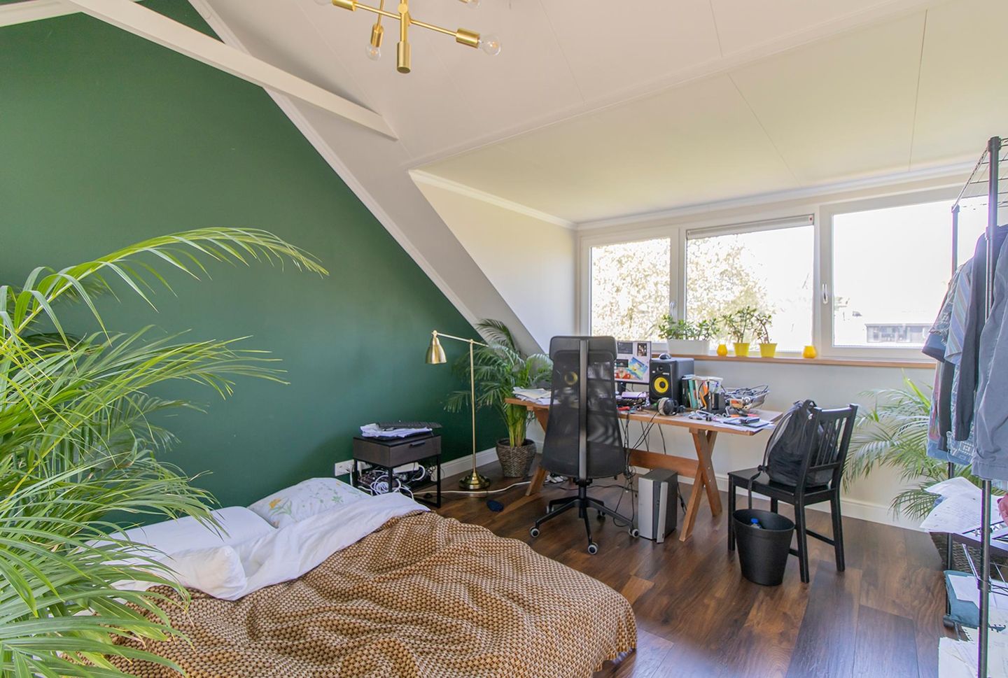 Foto 20 van Colorado 19