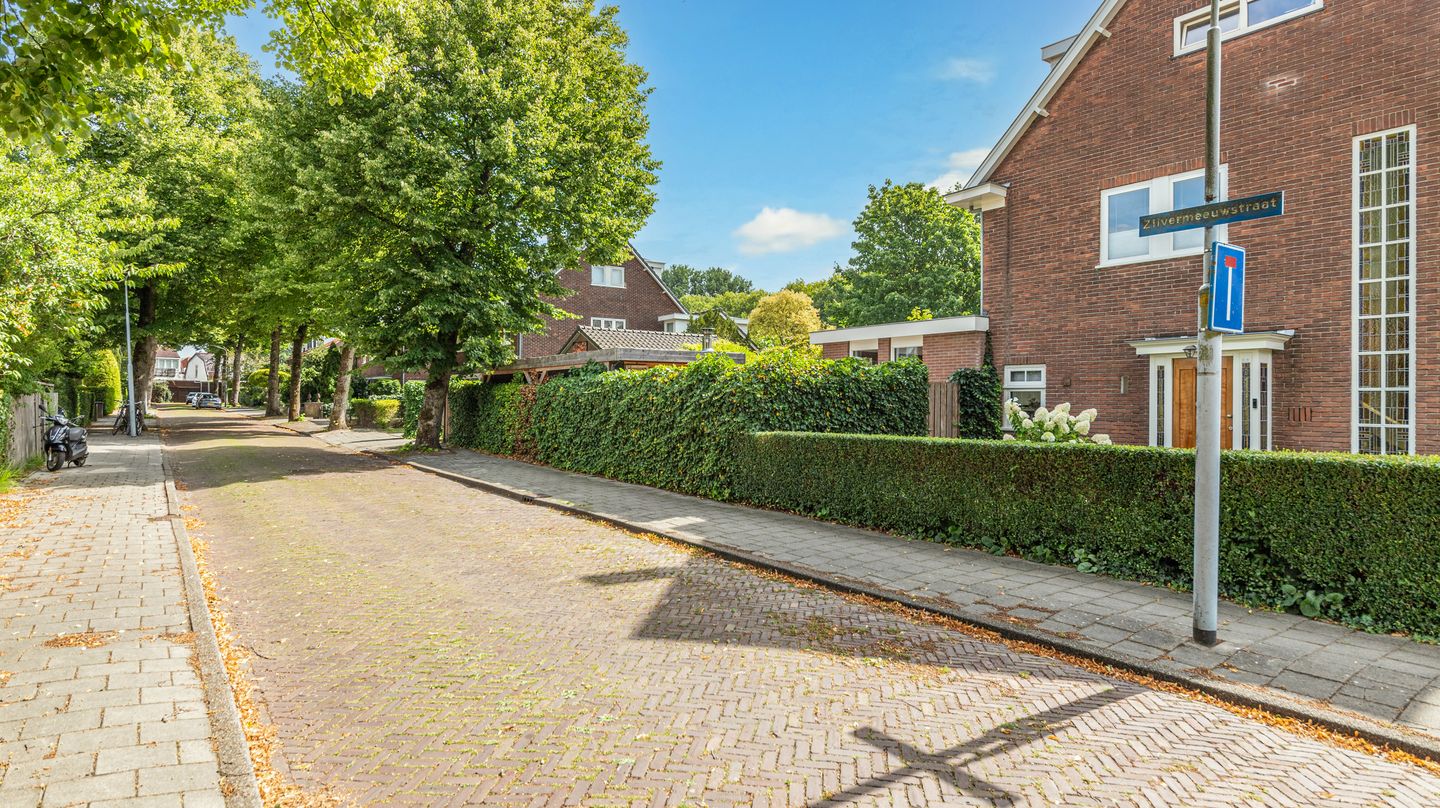 Photo 44 of Zilvermeeuwstraat 24