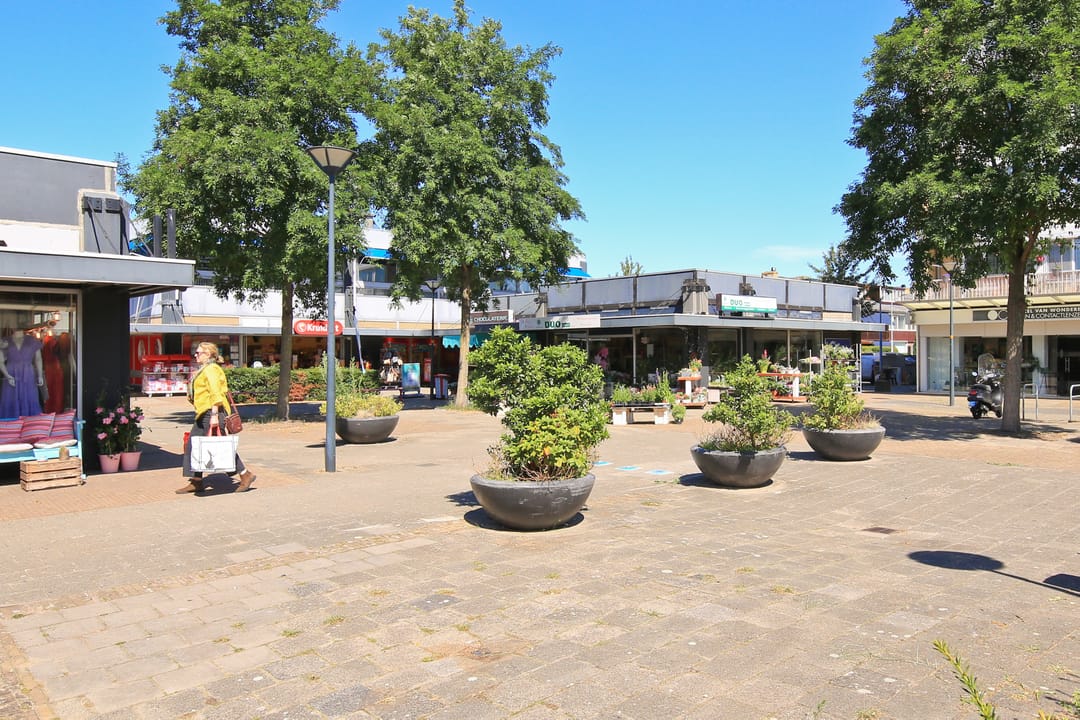 Photo 47 of Zilvermeeuwstraat 24