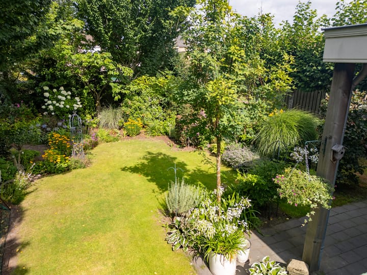 Photo 50 of Wernhoutseweg 30