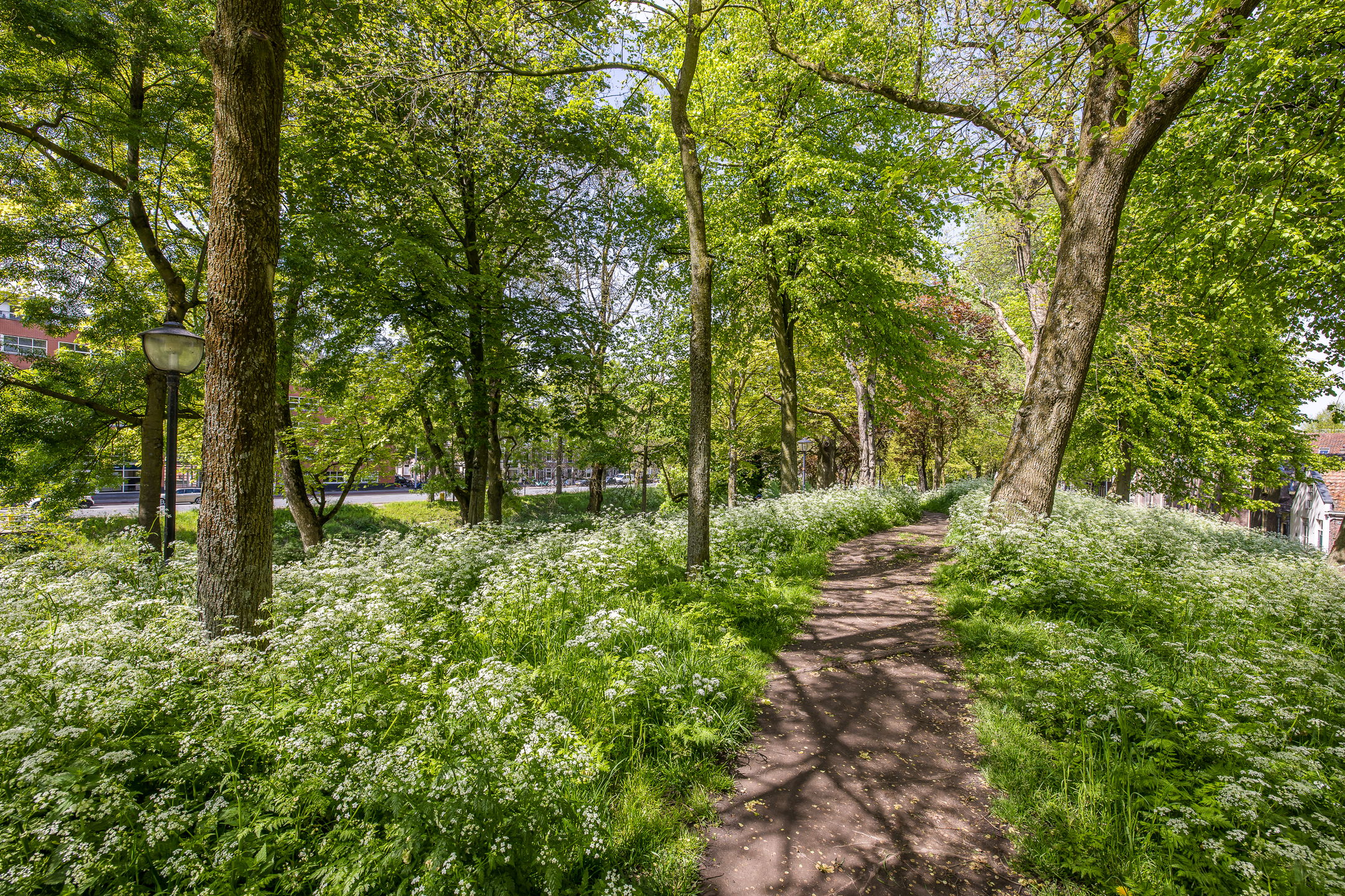 Foto 21 van Geertekerkhof 10