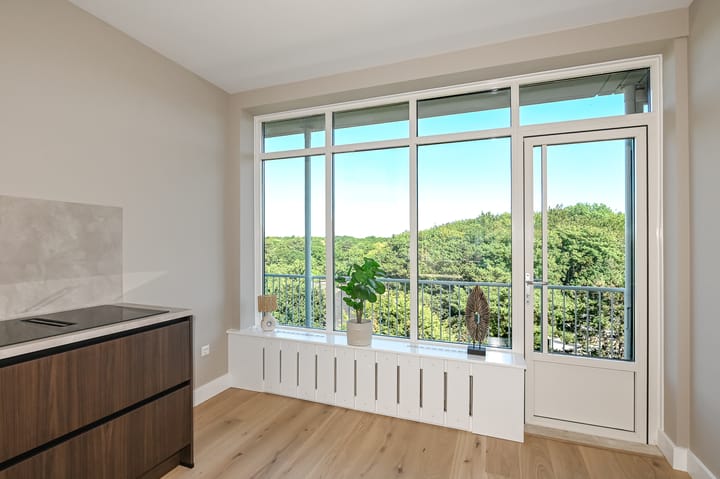 Foto 4 van Van Alkemadelaan 814