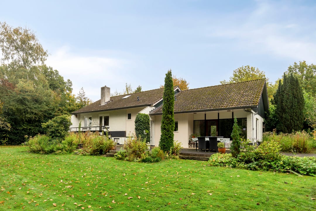 Foto 41 van de Zaalsteden 21