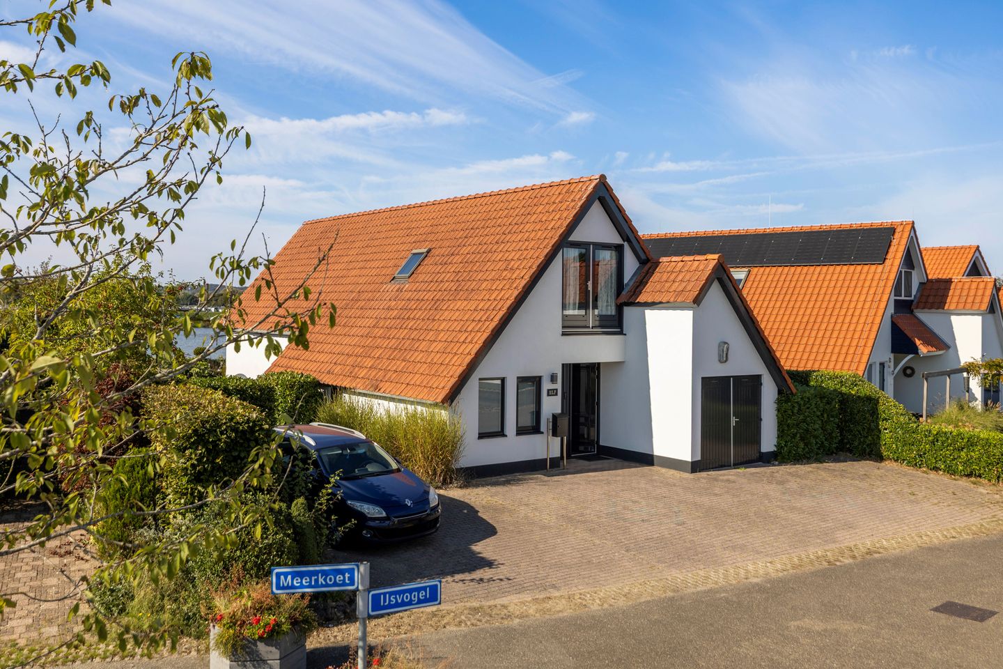 Foto 1 van IJsvogel 11