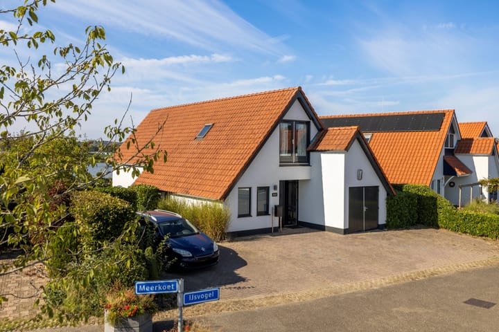 Foto 1 van IJsvogel 11