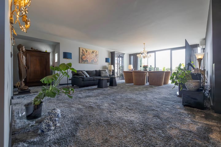 Foto 2 van IJsvogel 11