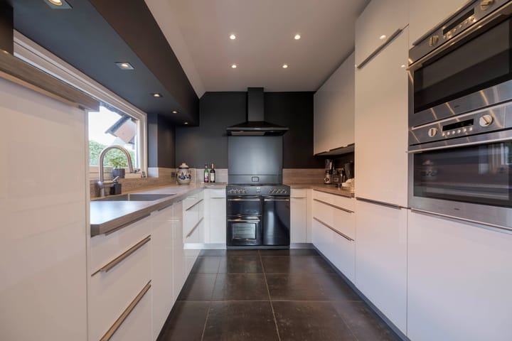 Foto 3 van IJsvogel 11