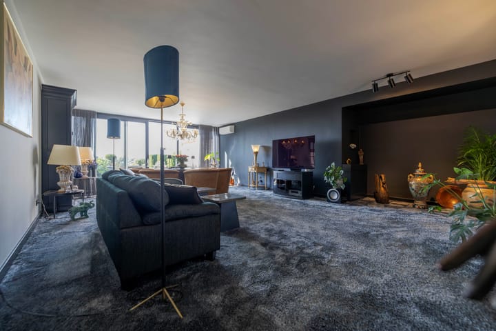 Foto 11 van IJsvogel 11