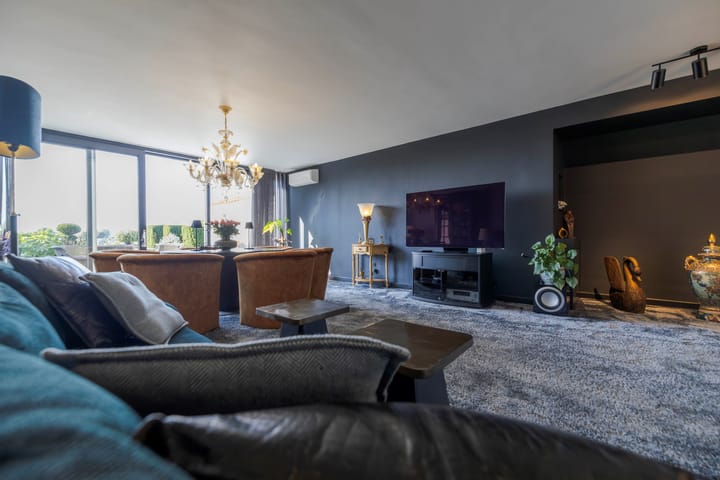 Foto 12 van IJsvogel 11