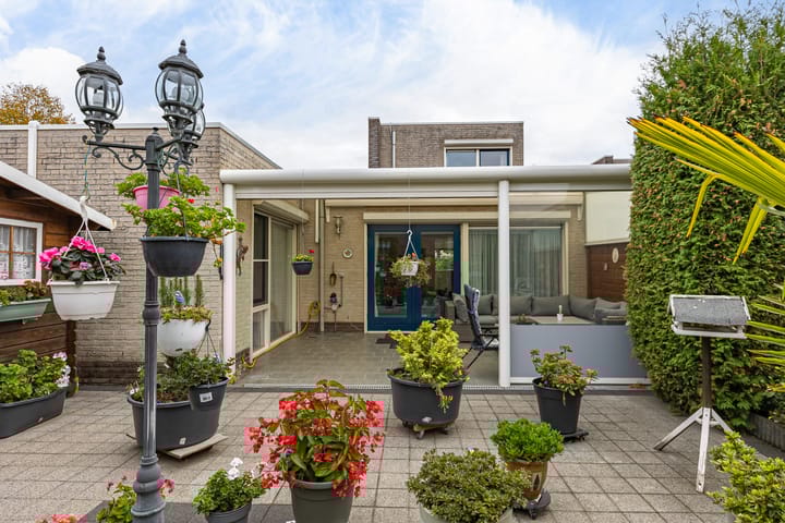 Foto 4 van Engelenboom 2