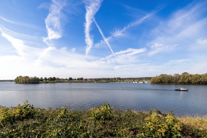 Foto 25 van IJsvogel 11