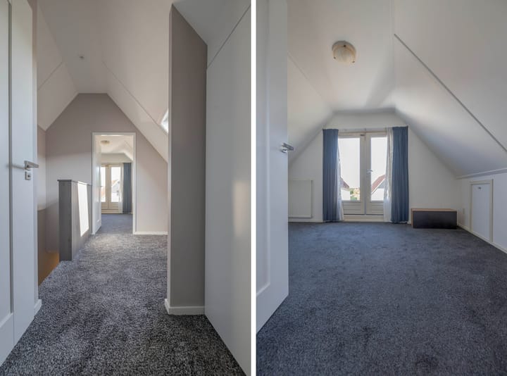 Foto 40 van IJsvogel 11