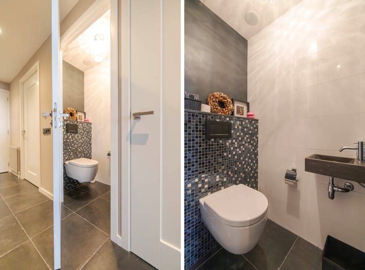 Foto 43 van IJsvogel 11