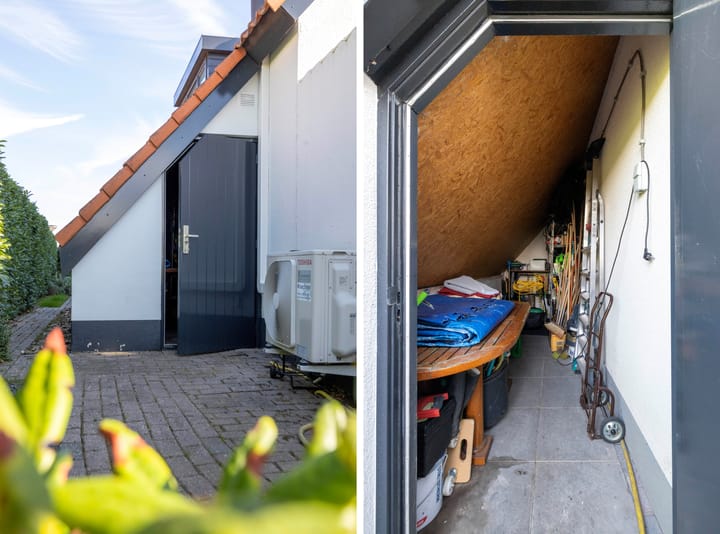 Foto 47 van IJsvogel 11