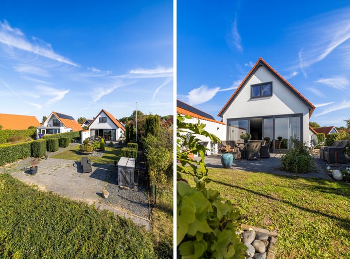 Foto 49 van IJsvogel 11