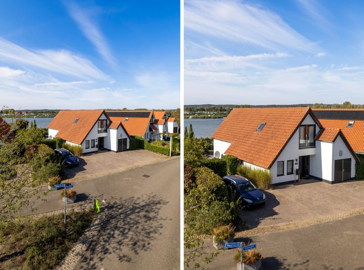 Foto 50 van IJsvogel 11