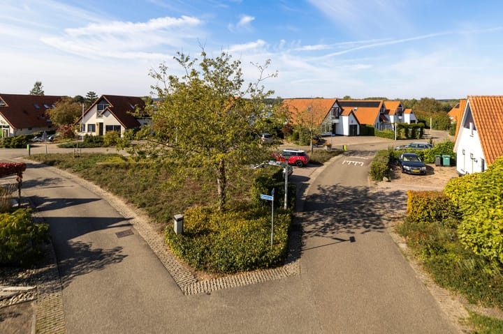 Foto 53 van IJsvogel 11