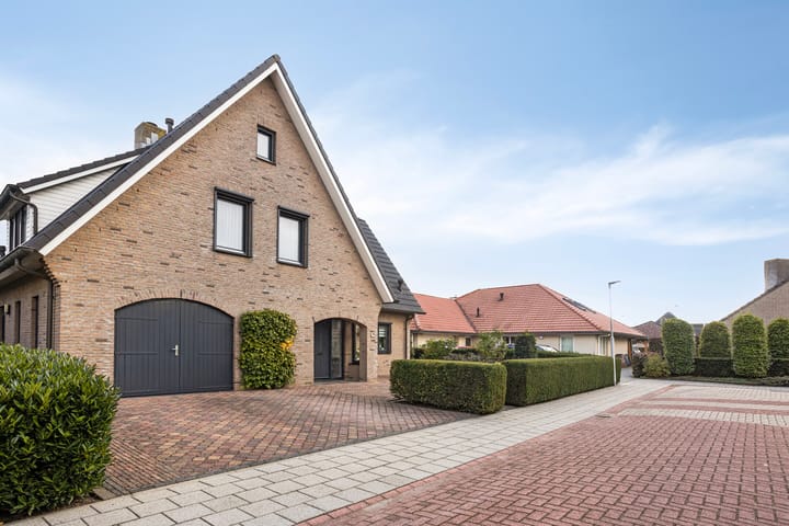 Foto 11 van Schelp 6