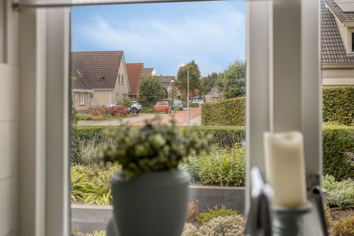 Foto 30 van Schelp 6