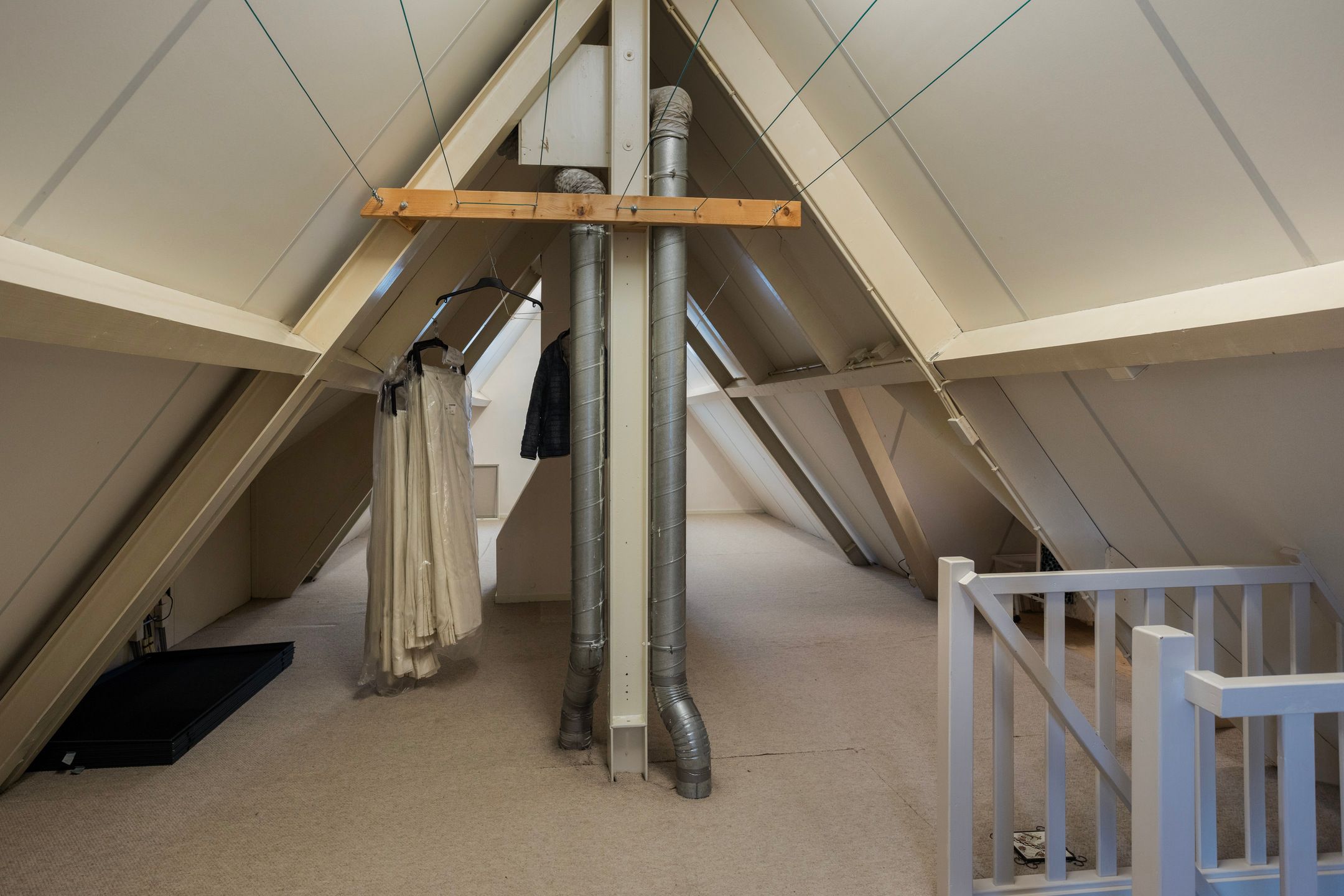 Foto 51 van Schelp 6