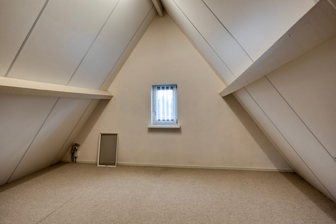 Foto 52 van Schelp 6