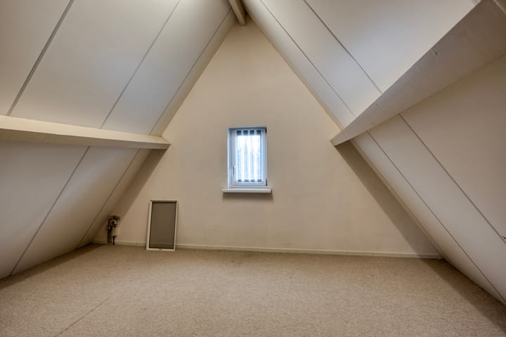 Foto 51 van Schelp 6