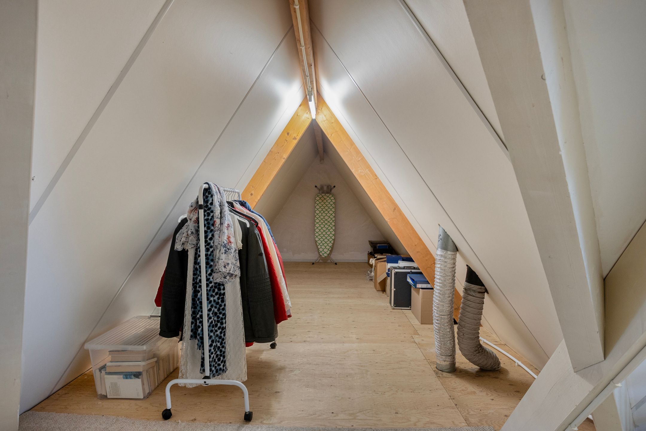 Foto 54 van Schelp 6